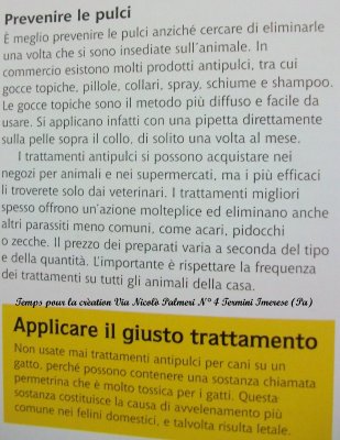 articolo sulle pulci