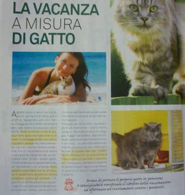 articolo sulla vacanza del gatto