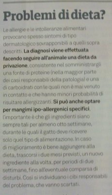 articolo sui problemi di dieta del gatto