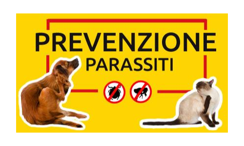 prevenzione parassiti