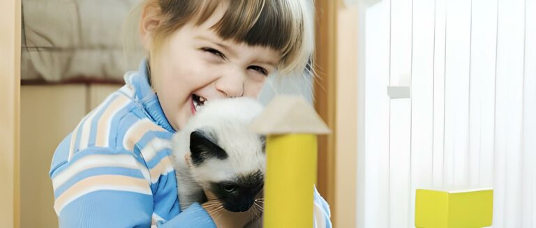 bambina che gioca con il gatto